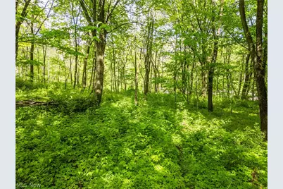 5700 Amber Road NW, Dundee, OH 44624 - Photo 23