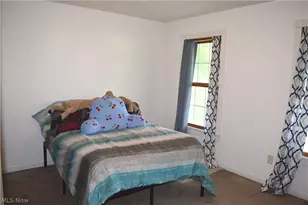 4777 Waterloo Rd, Atwater, OH 44201 - Photo 21