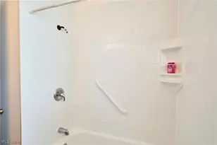 2669 Nesmith Lake Blvd, Akron, OH 44314 - Photo 17