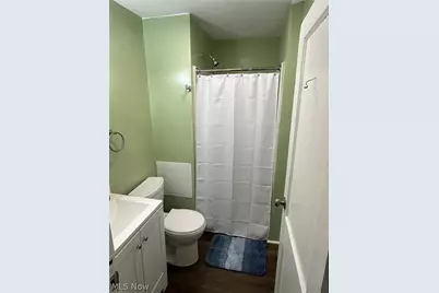 447 Buffalo Street, Conneaut, OH 44030 - Photo 19