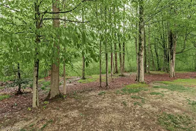 16820 Staffordshire Court, Chagrin Falls, OH 44023 - Photo 47
