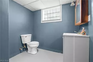10326 Thrush Ave, Loveland, OH 44111 - Photo 19