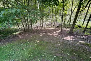 44073 Bell Rd, Lisbon, OH 44432 - Photo 45
