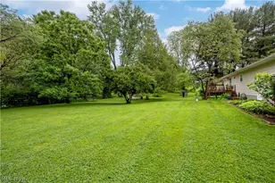 107 Youngs Terrace, Loudonville, OH 44842 - Photo 37