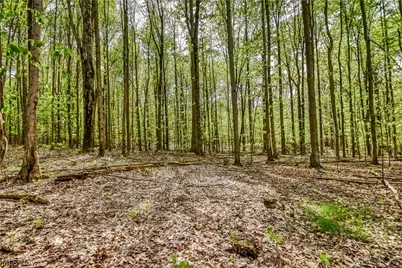 5671 S River Road W, Geneva, OH 44041 - Photo 29
