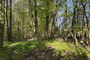 6060 Dalton Fox Lake Rd, North Lawrence, OH 44666 - Photo 37
