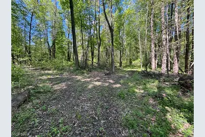 6060 Dalton Fox Lake Road, North Lawrence, OH 44666 - Photo 35