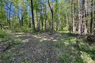 6060 Dalton Fox Lake Rd, North Lawrence, OH 44666 - Photo 35