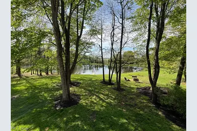 6060 Dalton Fox Lake Road, North Lawrence, OH 44666 - Photo 31