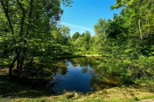 1720 Hinckley Hills Rd, Hinckley, OH 44233 - Photo 3