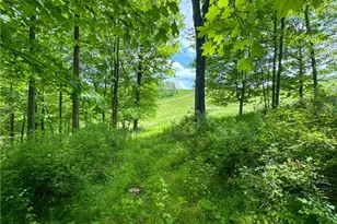 2250 Indian Camp Run Rd, New Concord, OH 43762 - Photo 45