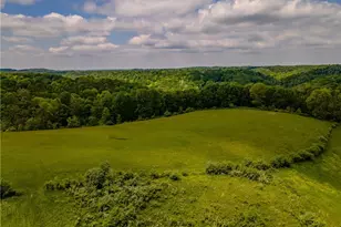 2250 Indian Camp Run Rd, New Concord, OH 43762 - Photo 41