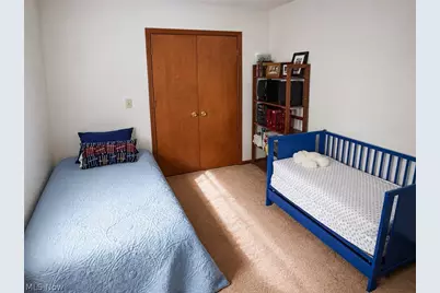 6155 Gibson Road, Canfield, OH 44406 - Photo 35