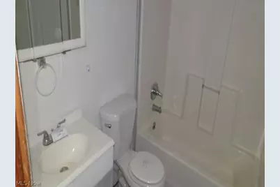 517 Dewitt Street, Lorain, OH 44055 - Photo 9