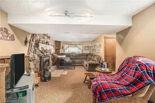 7032 Reed Rd, Conneaut, OH 44030 - Photo 17