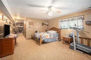 7032 Reed Rd, Conneaut, OH 44030 - Photo 19