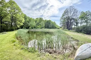 1773 Mahoning Rd, Deerfield, OH 44411 - Photo 21
