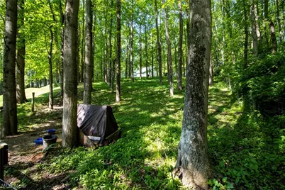 16062 State Route 39, Loudonville, OH 44842 - Photo 5