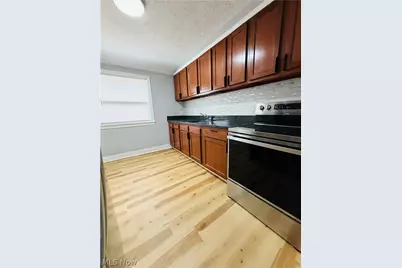 14702 Milverton Road, Loveland, OH 44120 - Photo 39