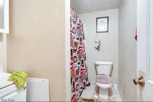 1471 E 118th St, Loveland, OH 44106 - Photo 37