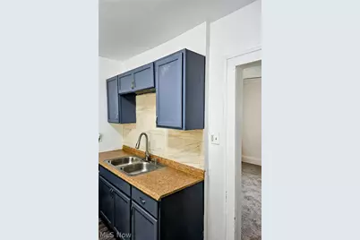 4108 E 113th Street, Loveland, OH 44105 - Photo 19
