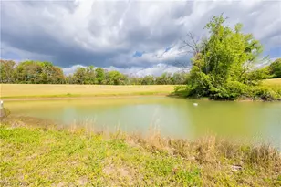 26103 Township Rd 250, Newcomerstown, OH 43832 - Photo 47