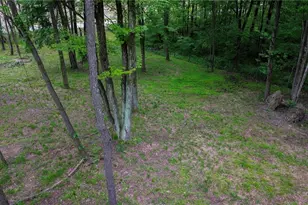 5309 Cherry Run Rd Rd, Strasburg, OH 44680 - Photo 19