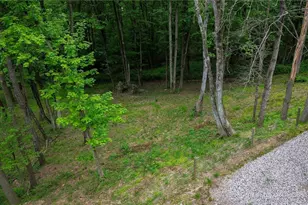 5309 Cherry Run Rd Rd, Strasburg, OH 44680 - Photo 17