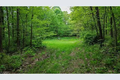 5309 Cherry Run Rd Road, Strasburg, OH 44680 - Photo 15