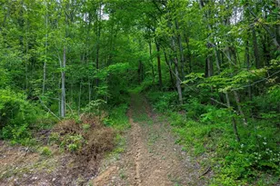 5309 Cherry Run Rd Rd, Strasburg, OH 44680 - Photo 21