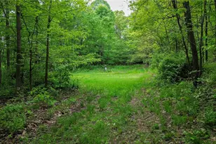 5309 Cherry Run Rd Rd, Strasburg, OH 44680 - Photo 15
