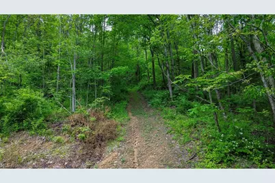 5309 Cherry Run Rd Road, Strasburg, OH 44680 - Photo 21