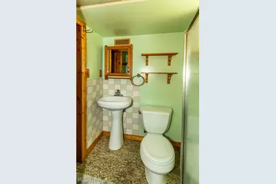 12805 Crossburn Avenue, Loveland, OH 44135 - Photo 27