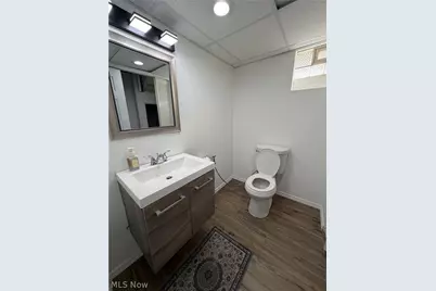 12412 Mortimer Avenue, Loveland, OH 44111 - Photo 25