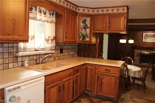 4110 Paris Ave SE, Minerva, OH 44657 - Photo 5