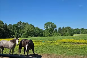 5209 Hanson Hill Rd, Stockport, OH 43787 - Photo 41