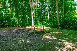 12754 Old Riley Rd, Frazeysburg, OH 43822 - Photo 33
