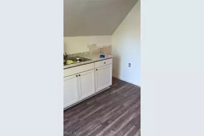 1051 E 171st Street, Loveland, OH 44119 - Photo 29