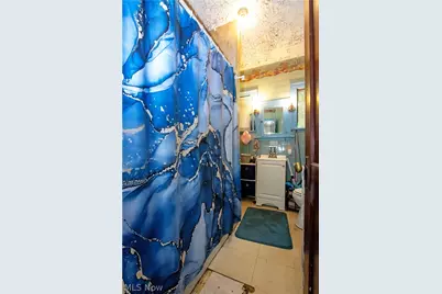 709 Longview Avenue, Akron, OH 44307 - Photo 19