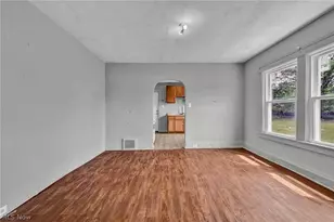 1011 East 140, Loveland, OH 44110 - Photo 9
