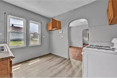 1011 East 140, Loveland, OH 44110 - Photo 13
