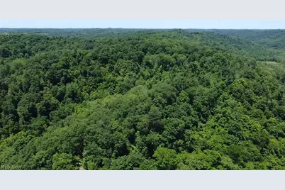 37473 State Route 7, Newport, OH 45768 - Photo 11