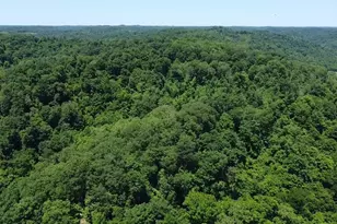 37473 State Route 7, Newport, OH 45768 - Photo 11