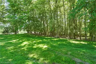 4212 Big Spruce Dr, Akron, OH 44333 - Photo 25