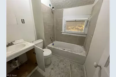 8018 Platt Avenue, Loveland, OH 44104 - Photo 27