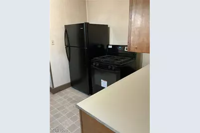 667 Seiberling Street, Akron, OH 44306 - Photo 9