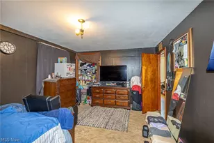 4101 John Ave, Loveland, OH 44113 - Photo 11