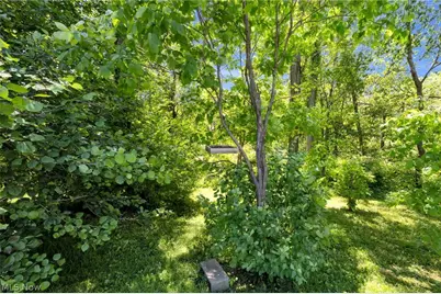 9309 County Road 46, Galion, OH 44833 - Photo 43
