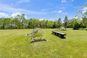 9309 Co Rd 46, Galion, OH 44833 - Photo 5