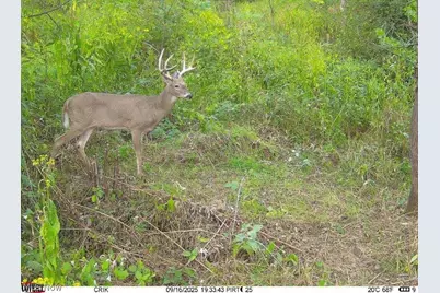 Tr 88, Coshocton, OH 43824 - Photo 41